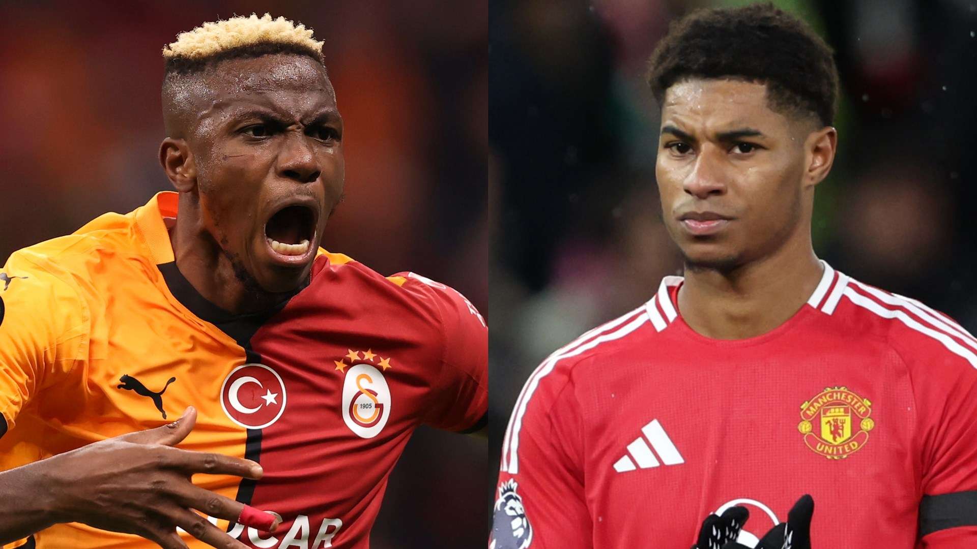 速引起了媒 速引起了媒