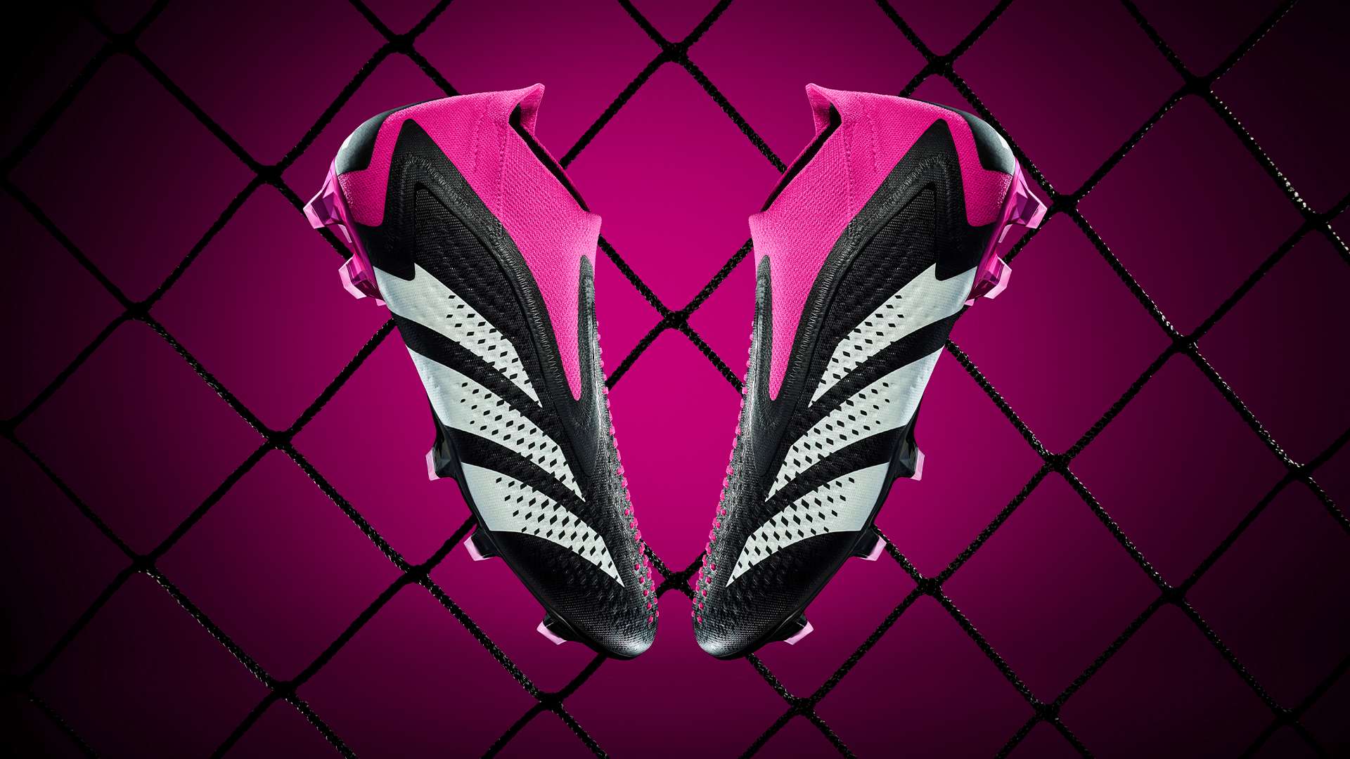 赋和实力 赋和实力