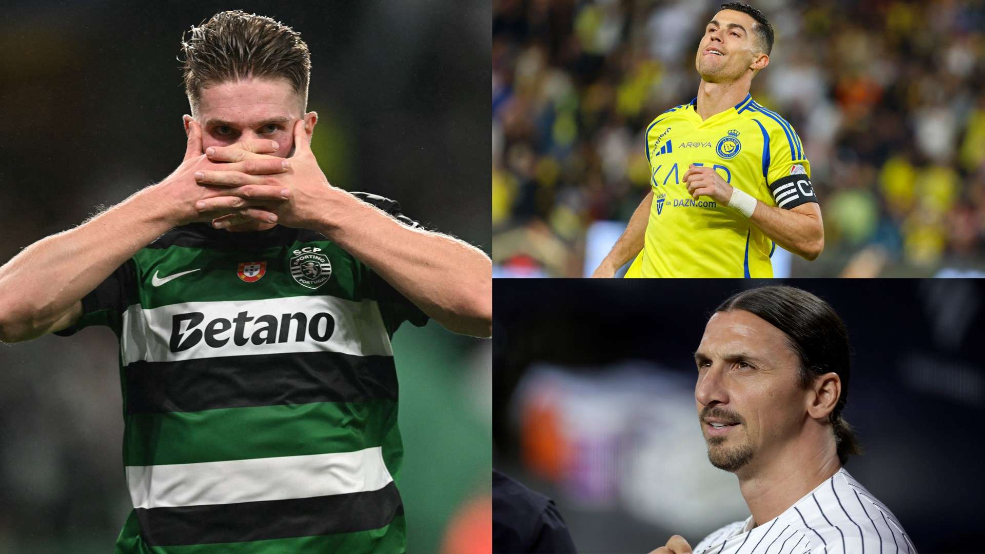 的最好回报 的最好回报